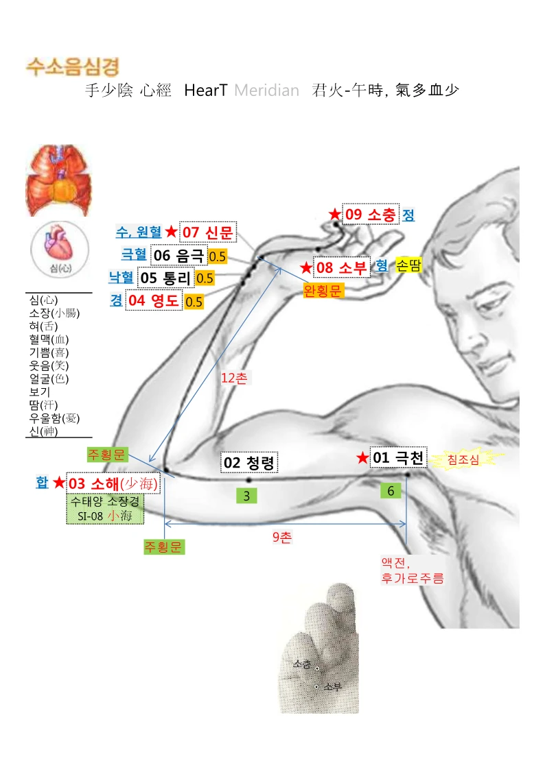 수소음심경(手少陰心經, HT) 경혈 정보 링크 연결 2